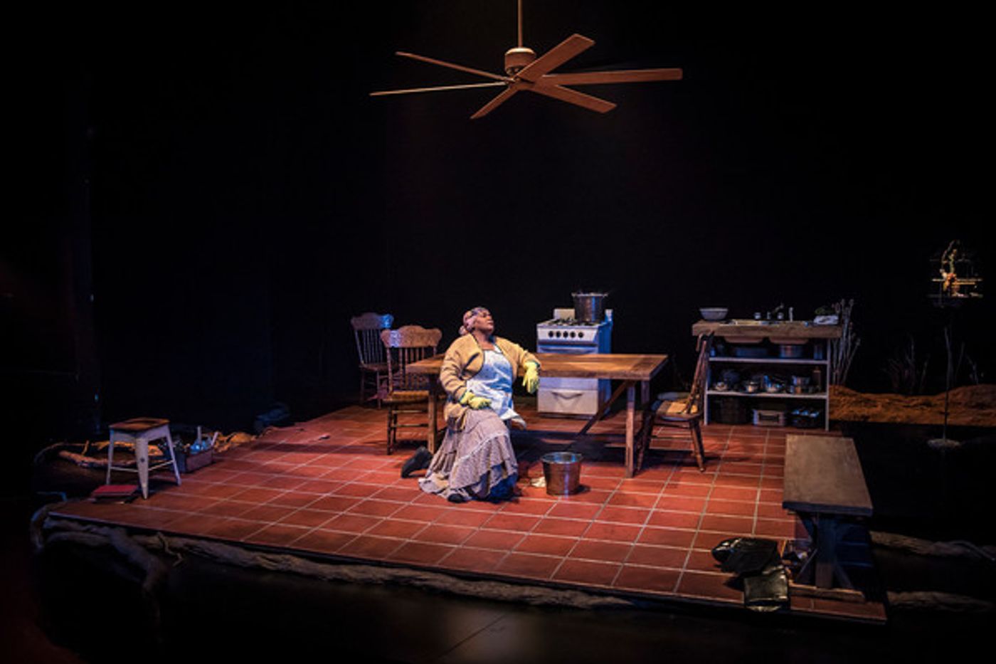 Photo Flash: Victory Gardens Theater Presents MIES JULIE  Image