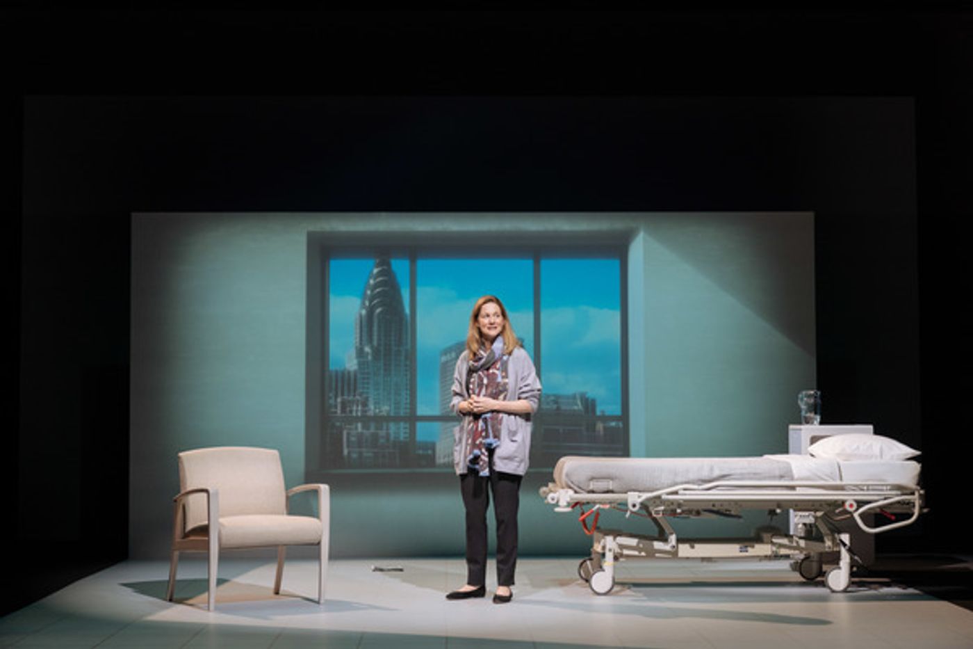 Photo Flash: First Look at Laura Linney in MY NAME IS LUCY BARTON  Image