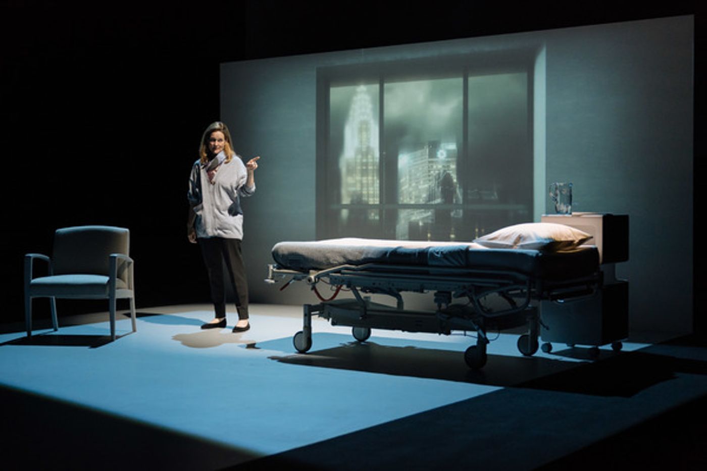 Photo Flash: First Look at Laura Linney in MY NAME IS LUCY BARTON  Image