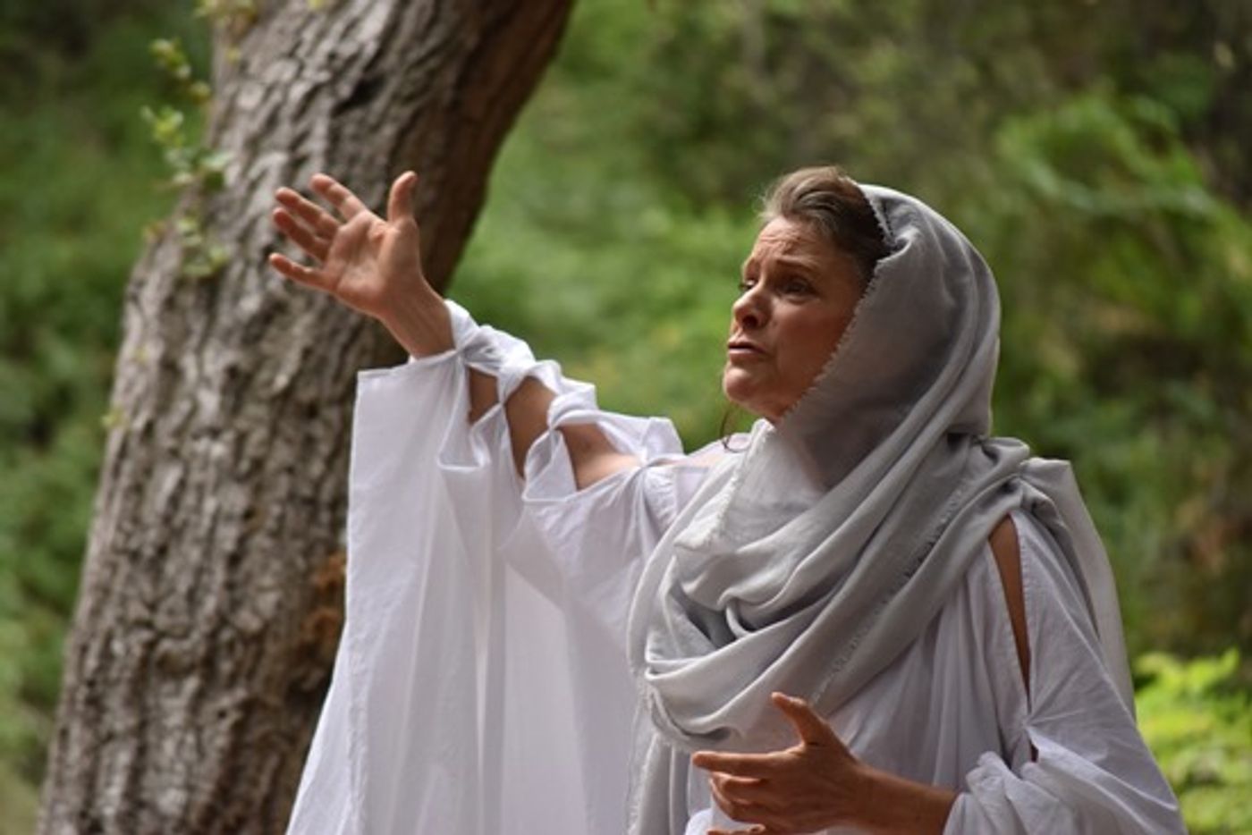 Review: Politics and Power Clash in Theatricum Botanicum's CORIOLANUS  Image