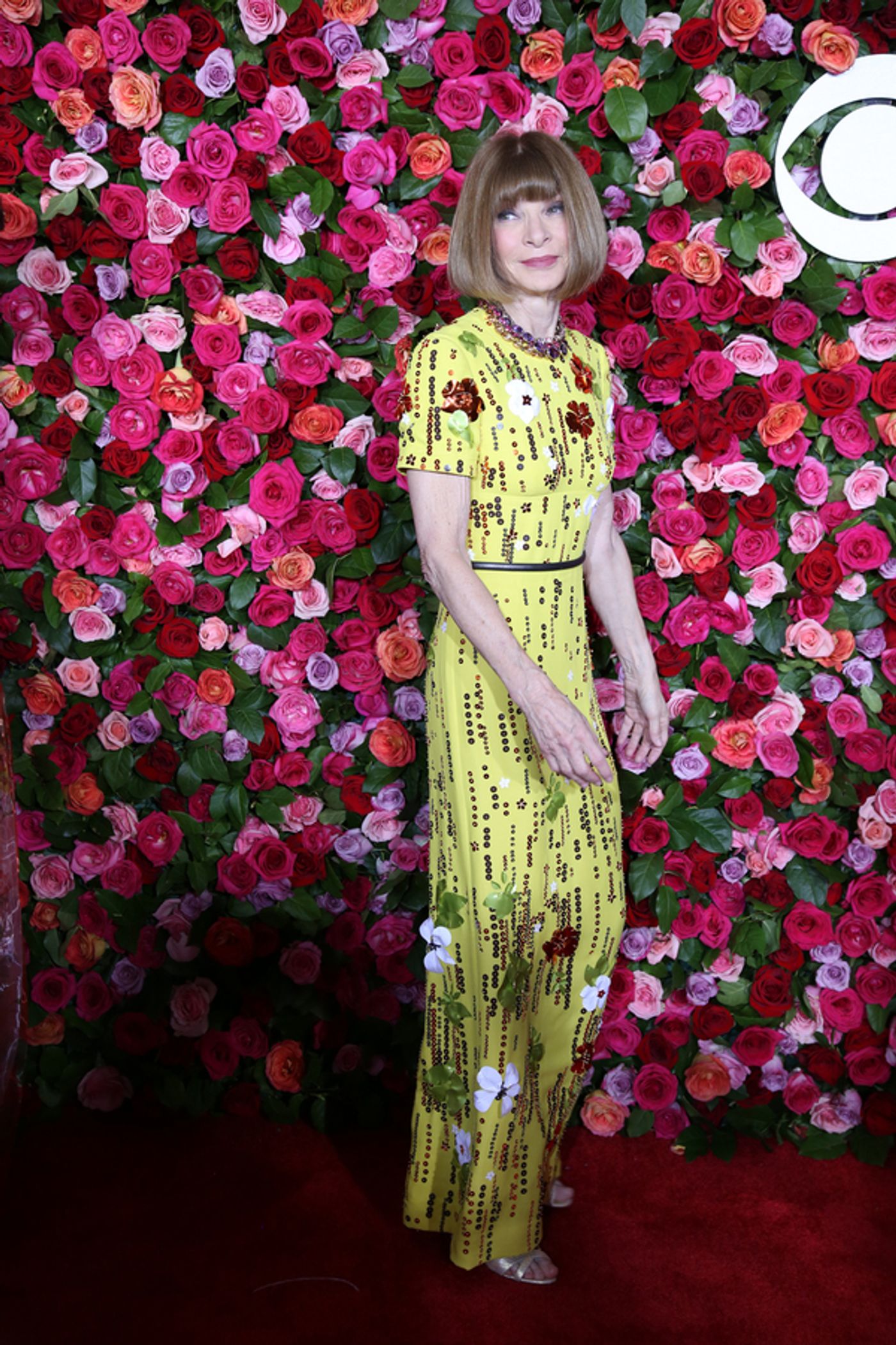 Photo Coverage: Stars Strut the Red Carpet at the 2018 Tony Awards!  Image