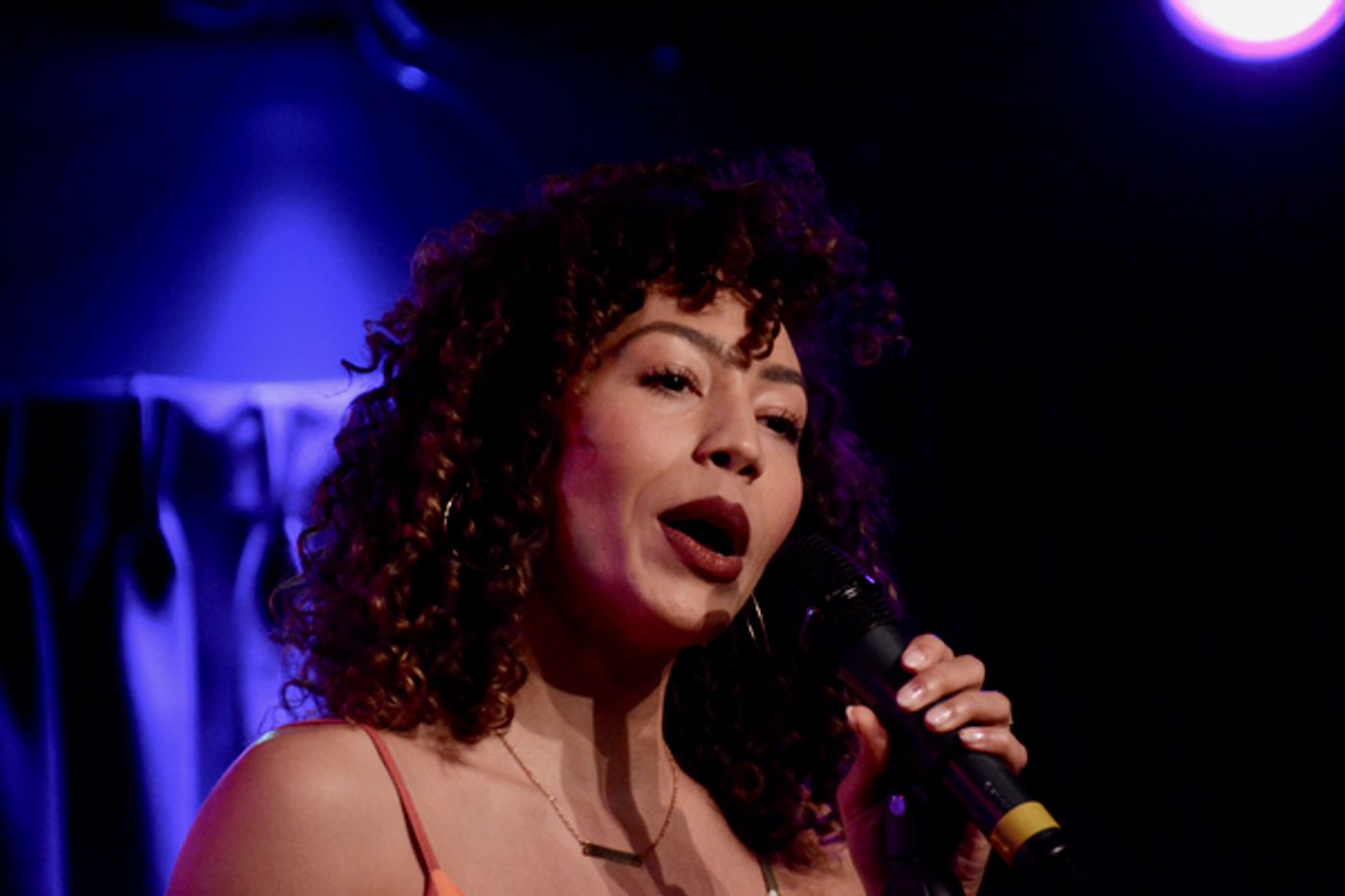 Photo Coverage: BEAUTIFUL, CAROUSEL, AVENUE Q and More Take the Stage in AT THIS PERFORMANCE... at The Green Room 42  Image