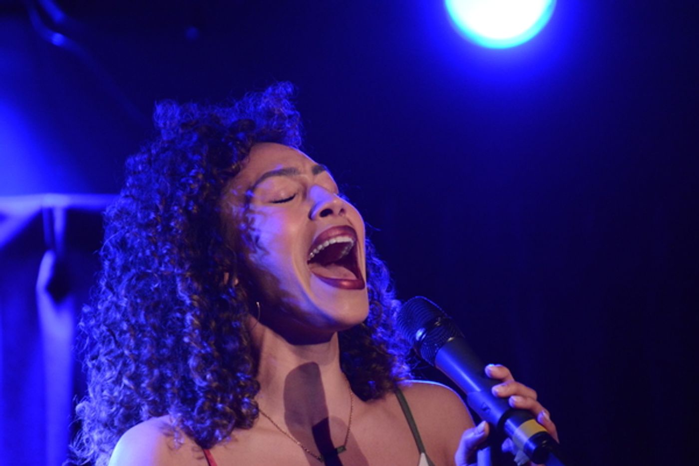 Photo Coverage: BEAUTIFUL, CAROUSEL, AVENUE Q and More Take the Stage in AT THIS PERFORMANCE... at The Green Room 42  Image