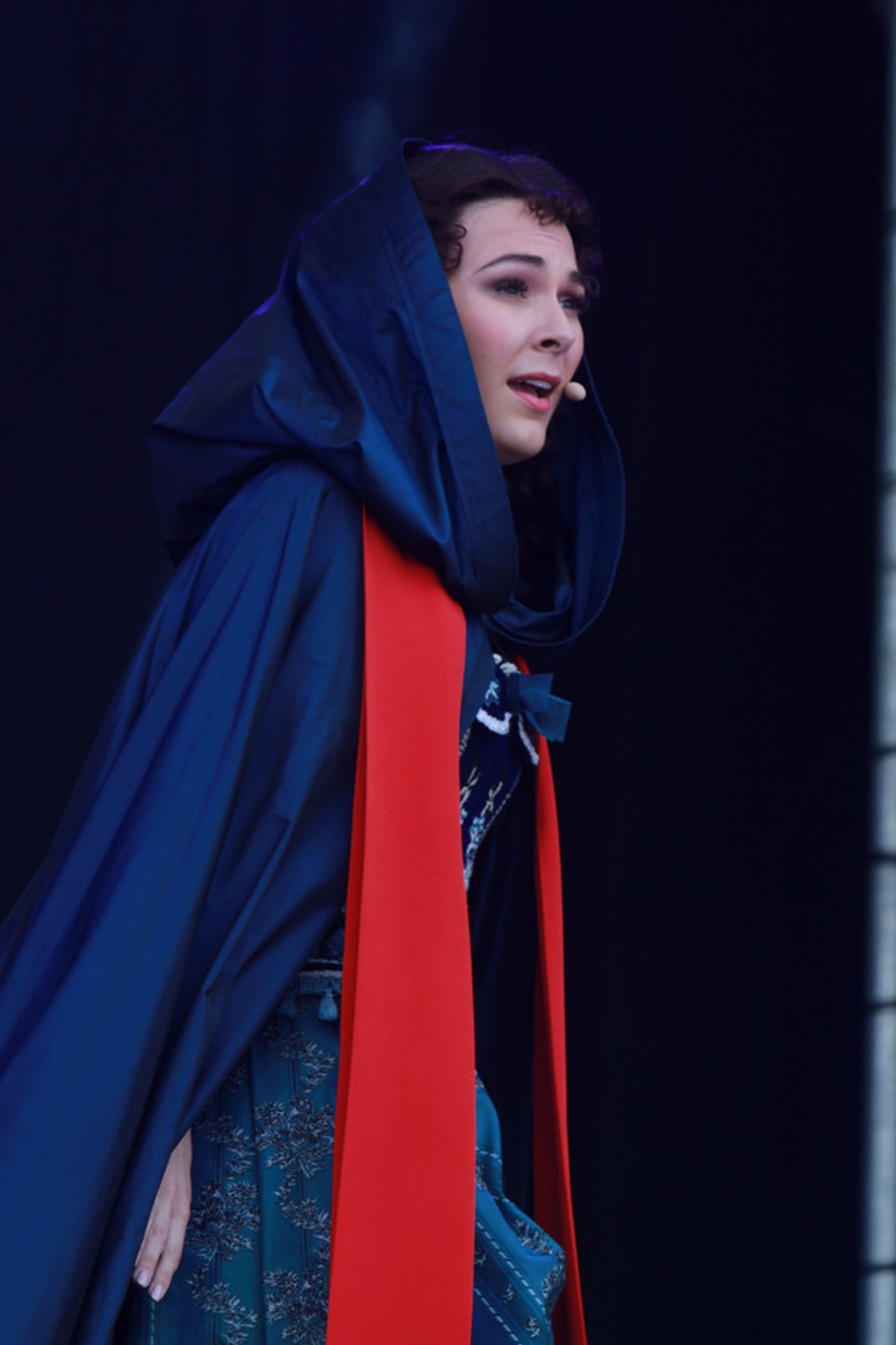 Photo Flash: The West End's Best Come Out For West End Live - BAT OUT OF HELL, PHANTOM, LES MISERABLES, STRICTLY BALLROOM  Image