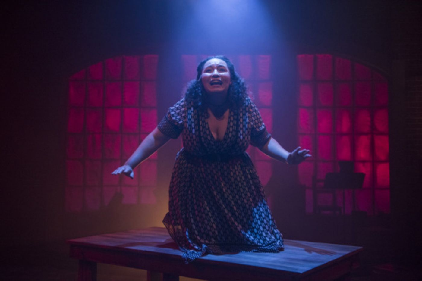 Photo Flash: Undercore Theatre & The Den Theatre Present HAYMARKET  Image