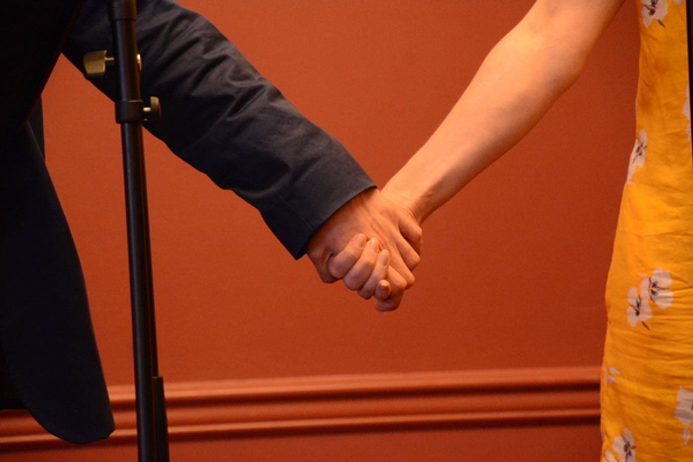 Photo Coverage: Lillias White, Danny Gardner & More Preview PERFECT PICTURE Photo Coverage: Lillias White, Danny Gardner & More Preview PERFECT PICTURE Image