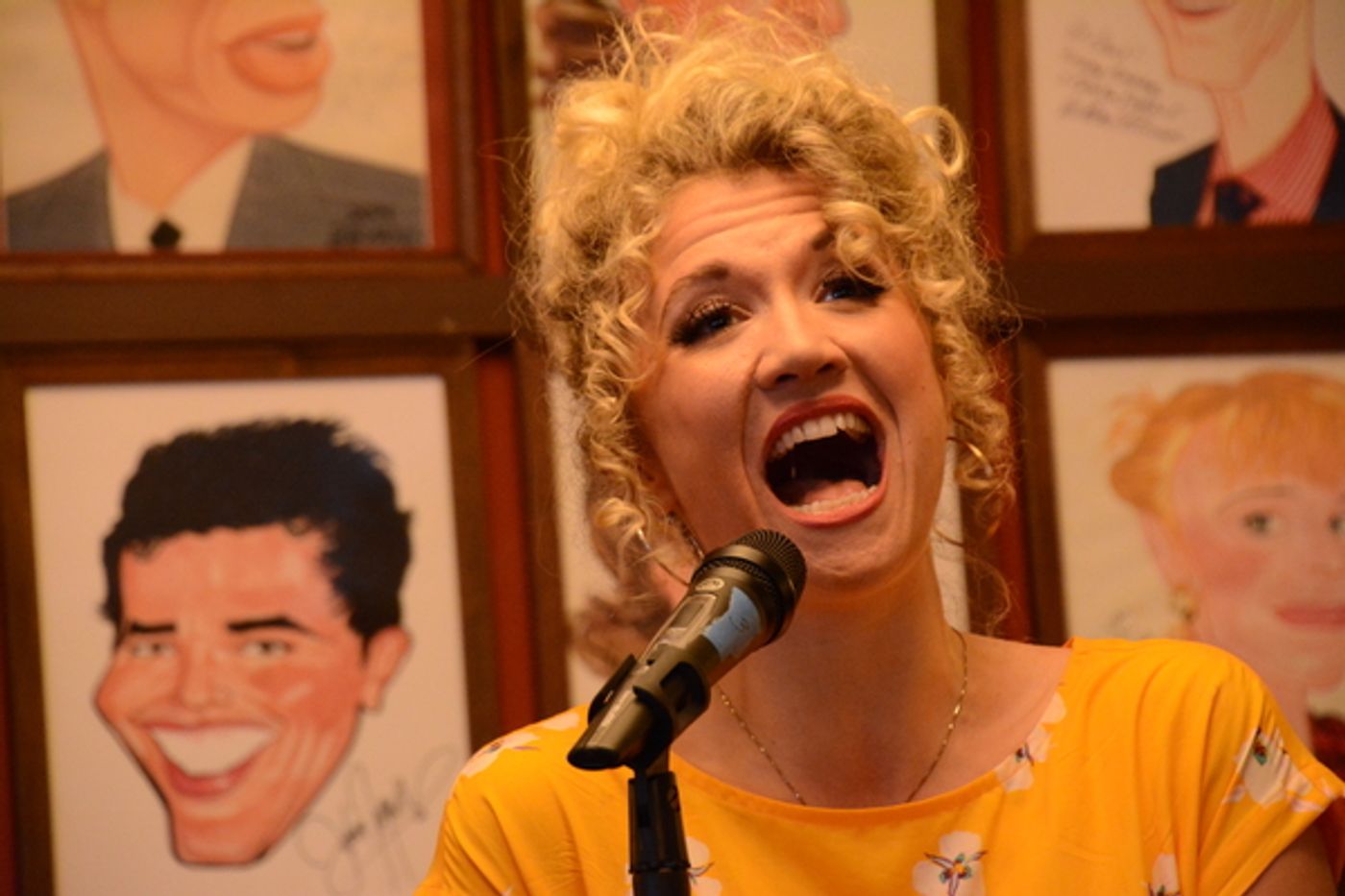 Photo Coverage: Lillias White, Danny Gardner & More Preview PERFECT PICTURE  Image