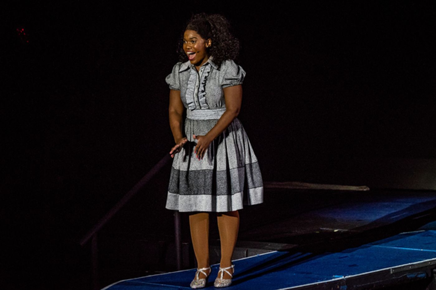 Photo Flash: On the Yellow Brick Road with The Muny's THE WIZ  Image