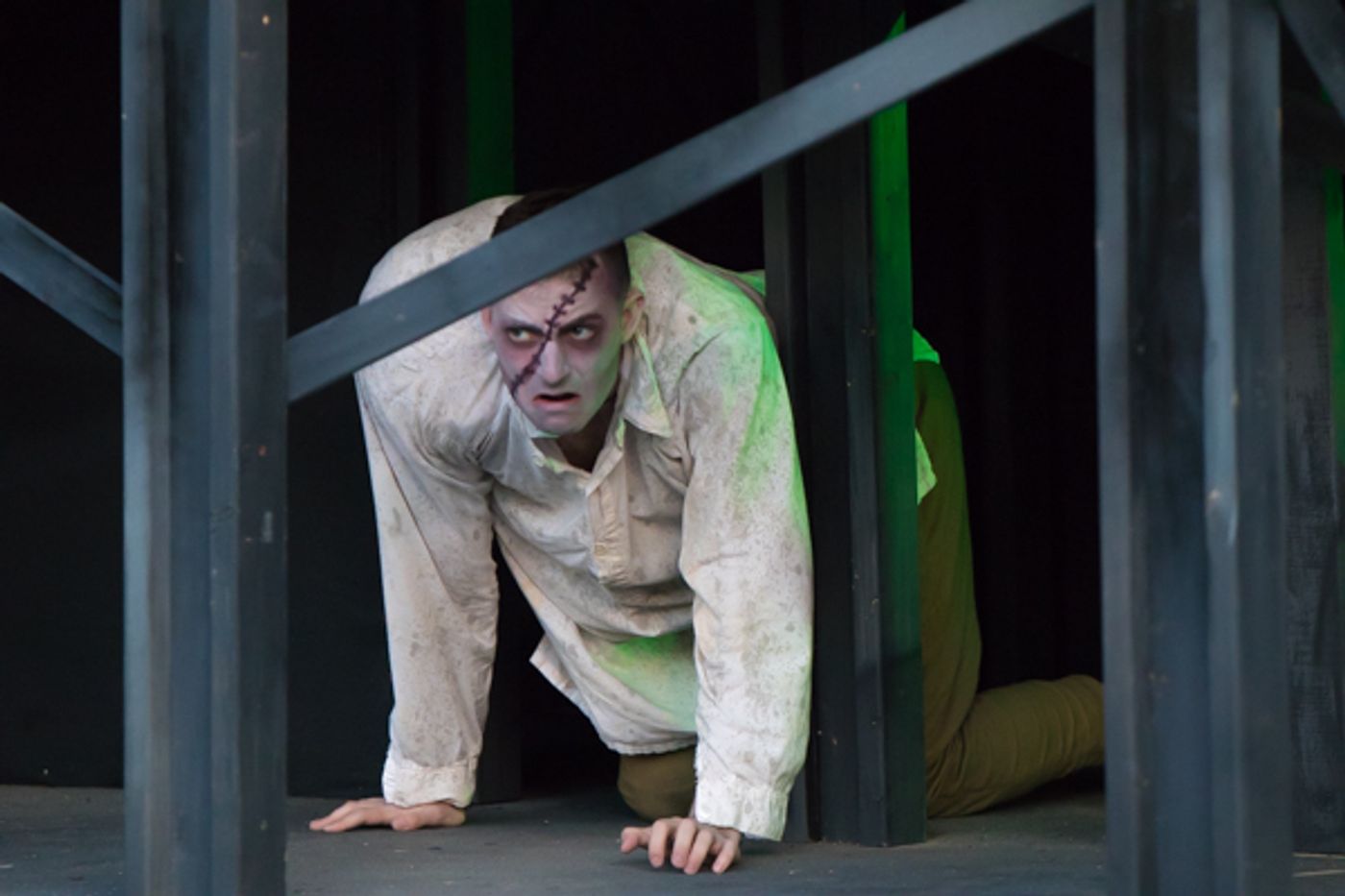 Photo Coverage: First Look at Actor's Theatre of Columbus' FRANKENSTEIN  Image