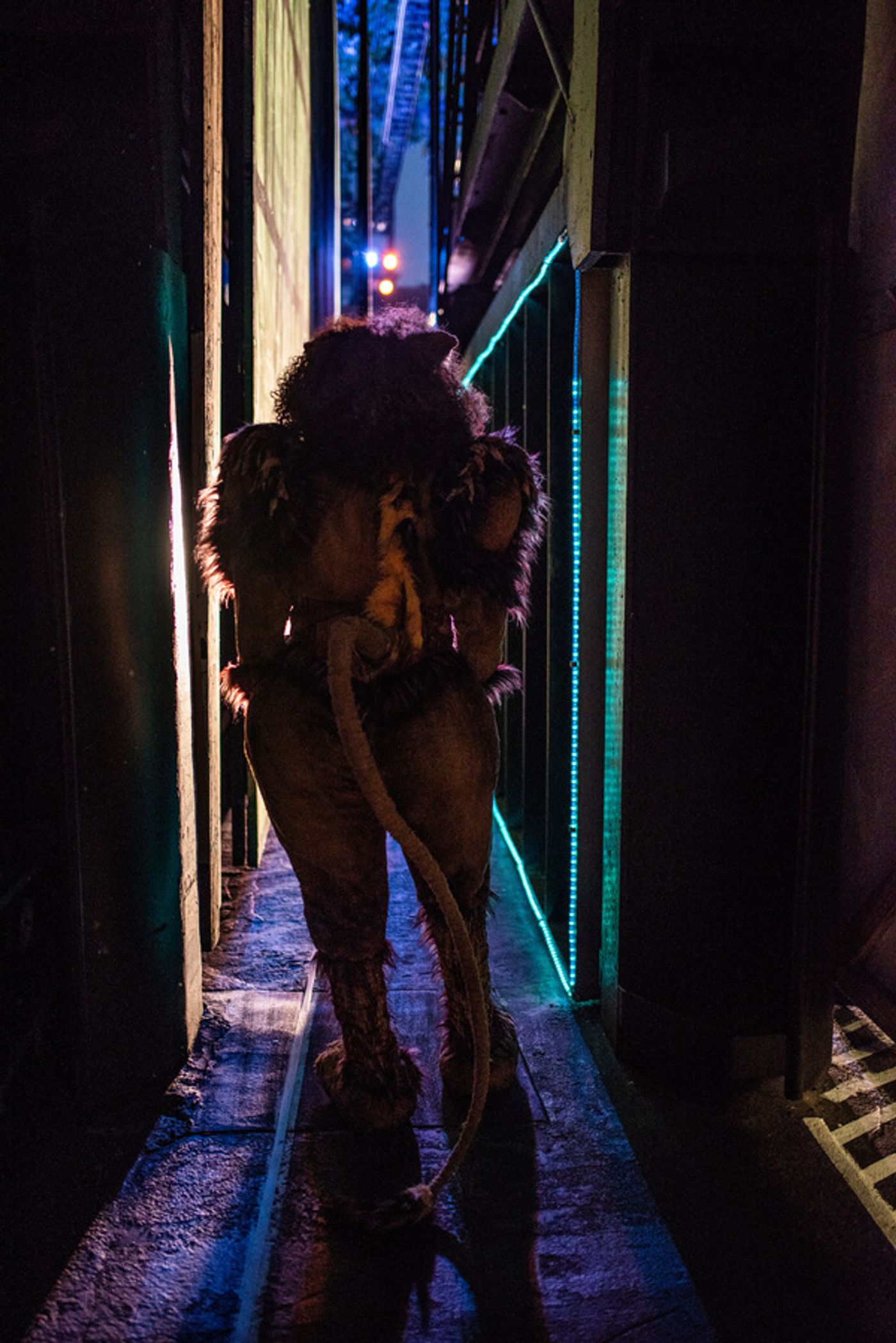 Photo Flash: Go Backstage With the Cast of The Muny's THE WIZ  Image