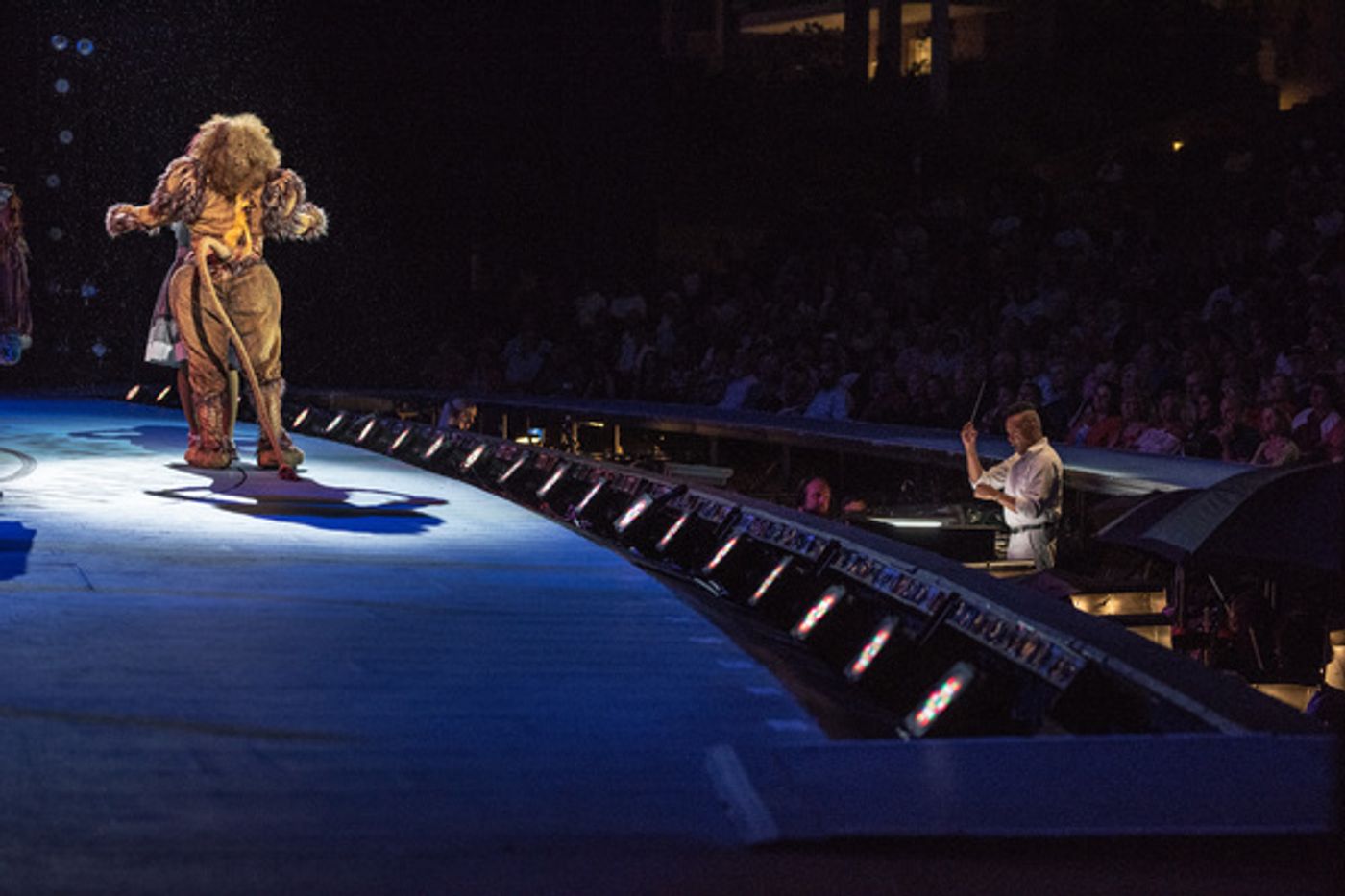 Photo Flash: Go Backstage With the Cast of The Muny's THE WIZ  Image