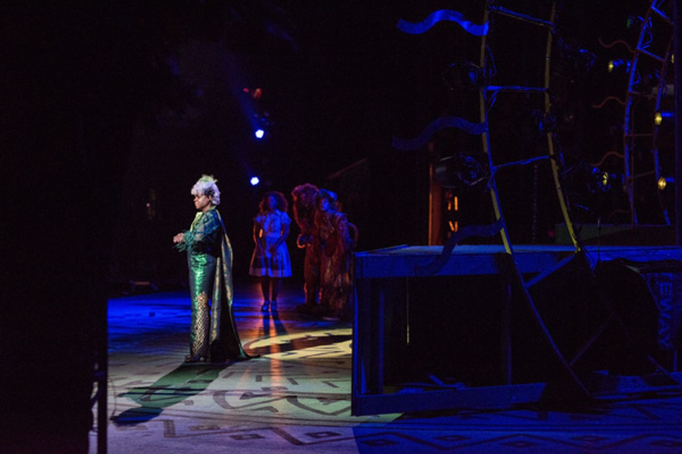 Photo Flash: Go Backstage With the Cast of The Muny's THE WIZ  Image