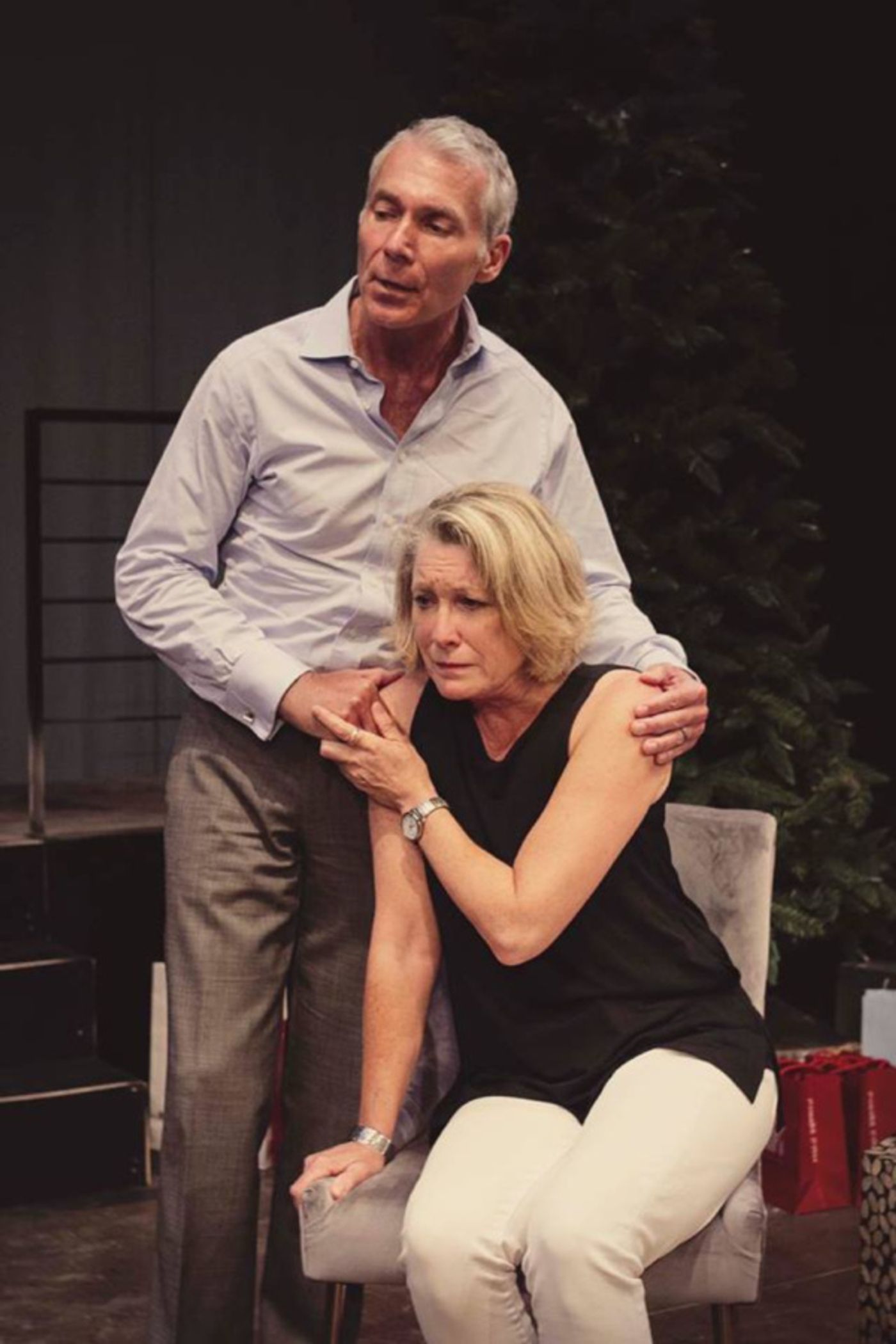 Photo Flash: The Sherman Playhouse Presents OTHER DESERT CITIES  Image