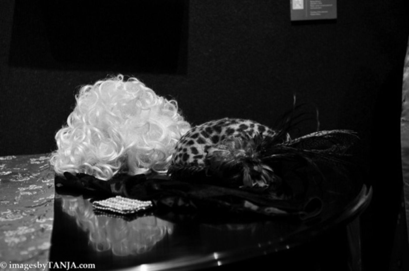 Photo Flash: Trezana Beverley Headlines As Mabel Mercer In MABEL MADNESS Photo Flash: Trezana Beverley Headlines As Mabel Mercer In MABEL MADNESS Image