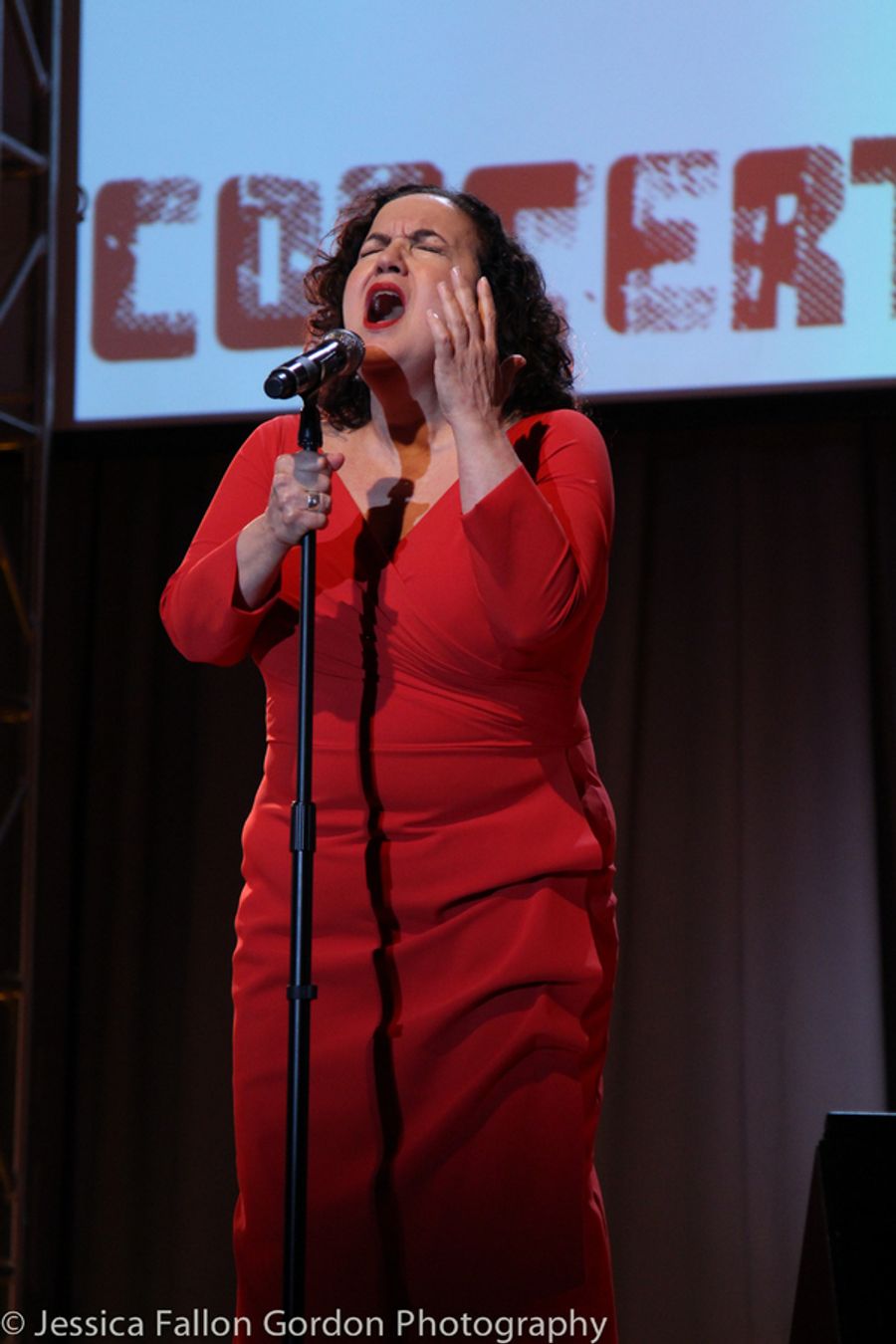 Photo Coverage: Audra McDonald, Idina Menzel, Chita Rivera & More Sing to Protect Families on the Border at Concert for America! Image