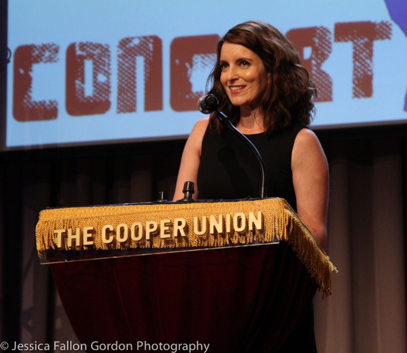 Photo Coverage: Audra McDonald, Idina Menzel, Chita Rivera & More Sing to Protect Families on the Border at Concert for America!  Image