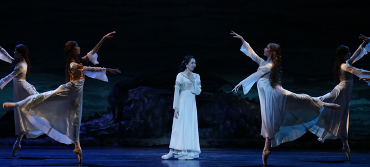 Photo Flash: SWAN LAKE Comes To Houston Ballet  Image