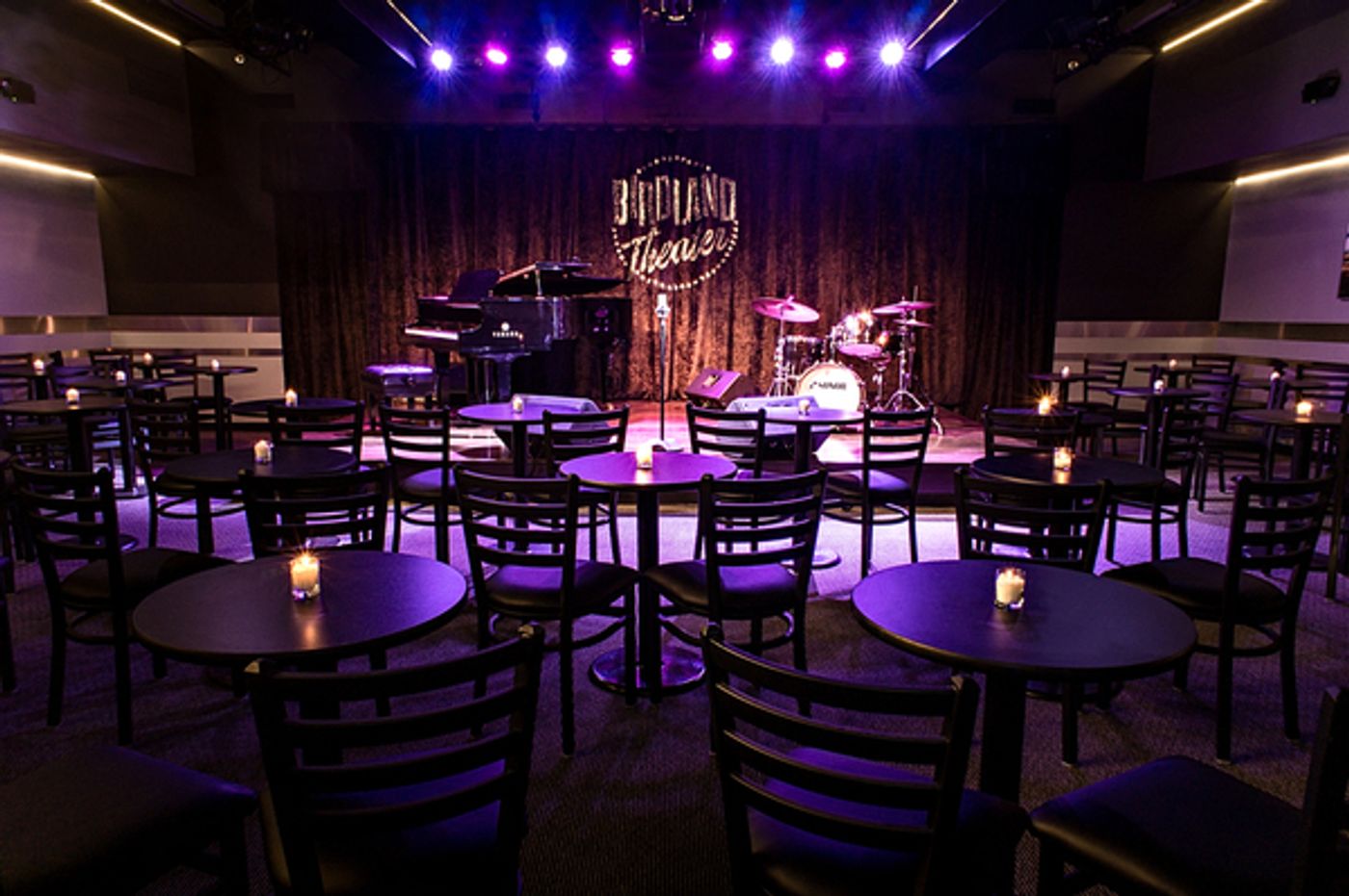 Photo Flash: Birdland Renovates New Performance Space: The Birdland Theater Photo Flash: Birdland Renovates New Performance Space: The Birdland Theater Image