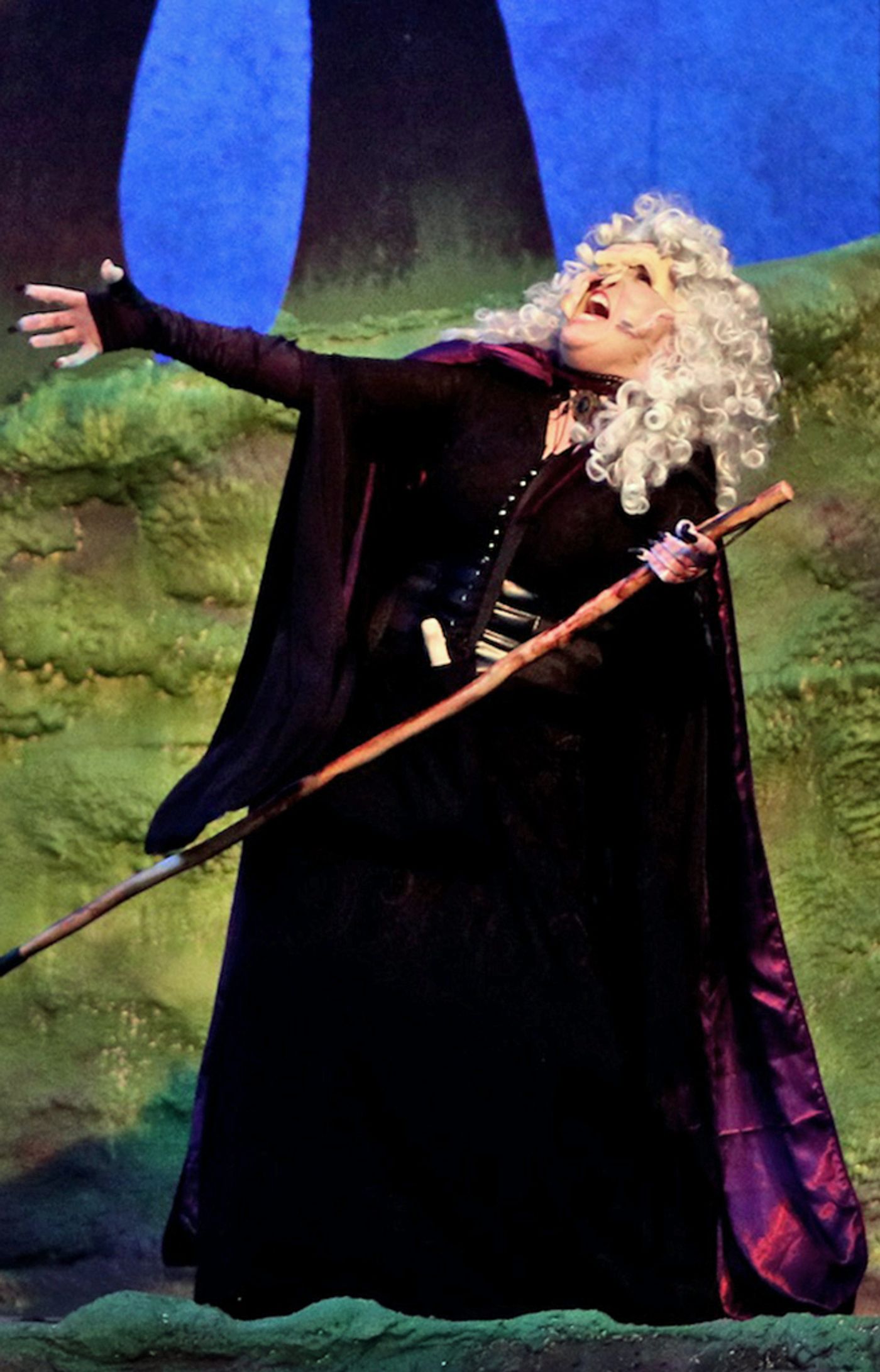 Review: INTO THE WOODS at Theatre In The Park  Image