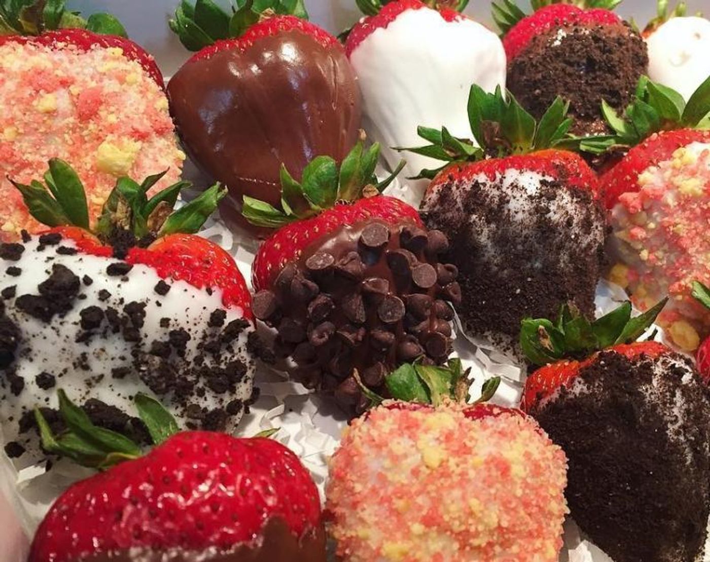 CITY FLAVORS-Food Entrepreneurs from NYC Public Housing Present a Taste of Local Bites  Image