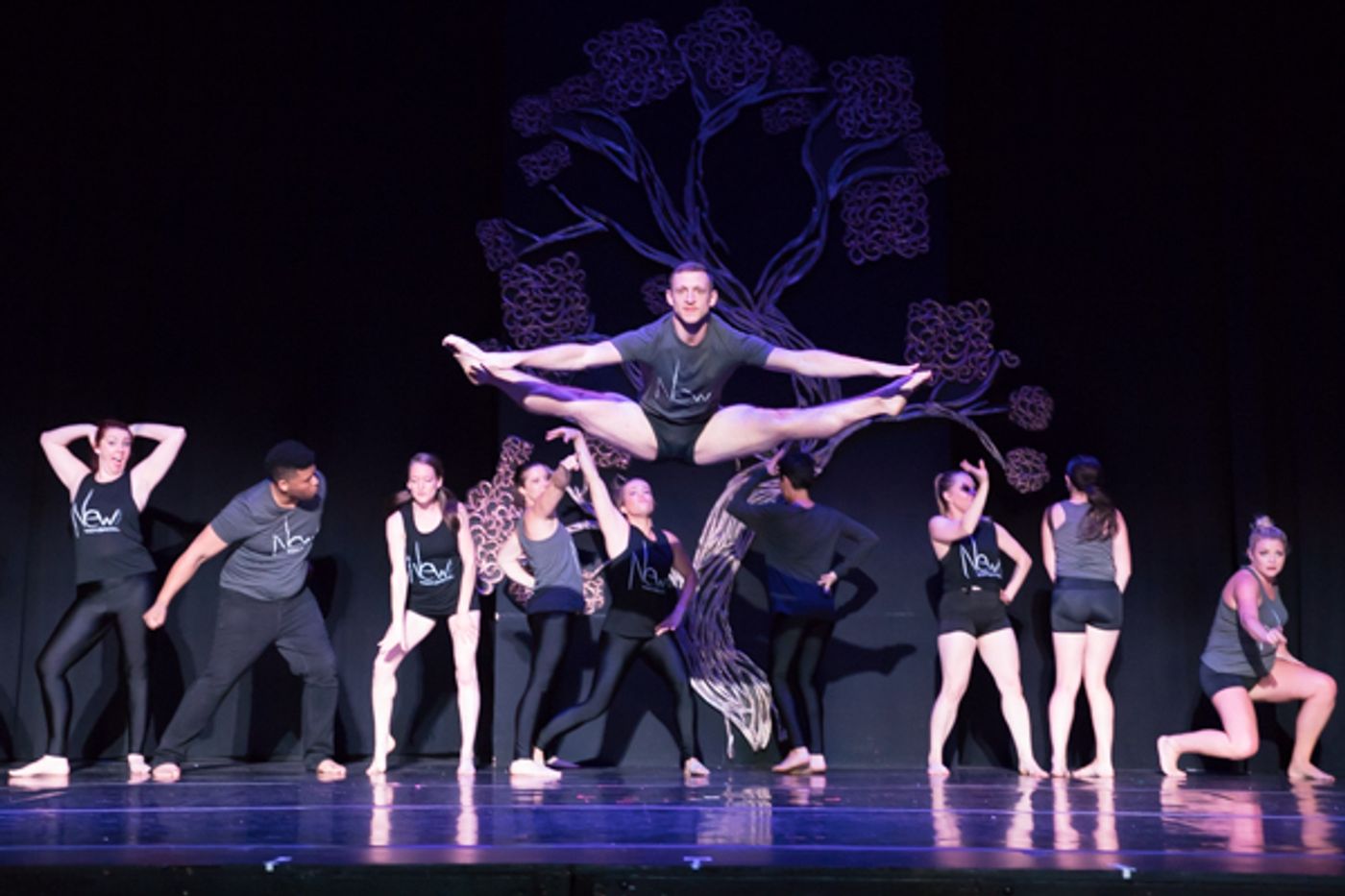 Photo Coverage: First look at New Vision Dance Co.'s BRANCHING OUT  Image
