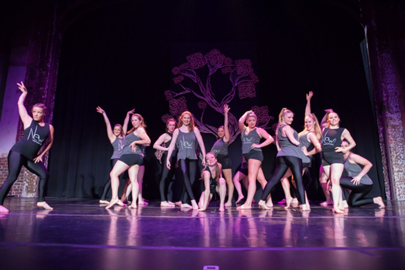 Photo Coverage: First look at New Vision Dance Co.'s BRANCHING OUT  Image
