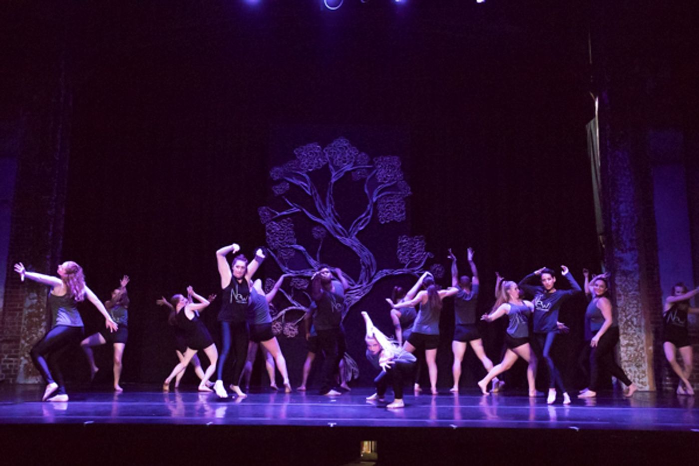 Photo Coverage: First look at New Vision Dance Co.'s BRANCHING OUT  Image