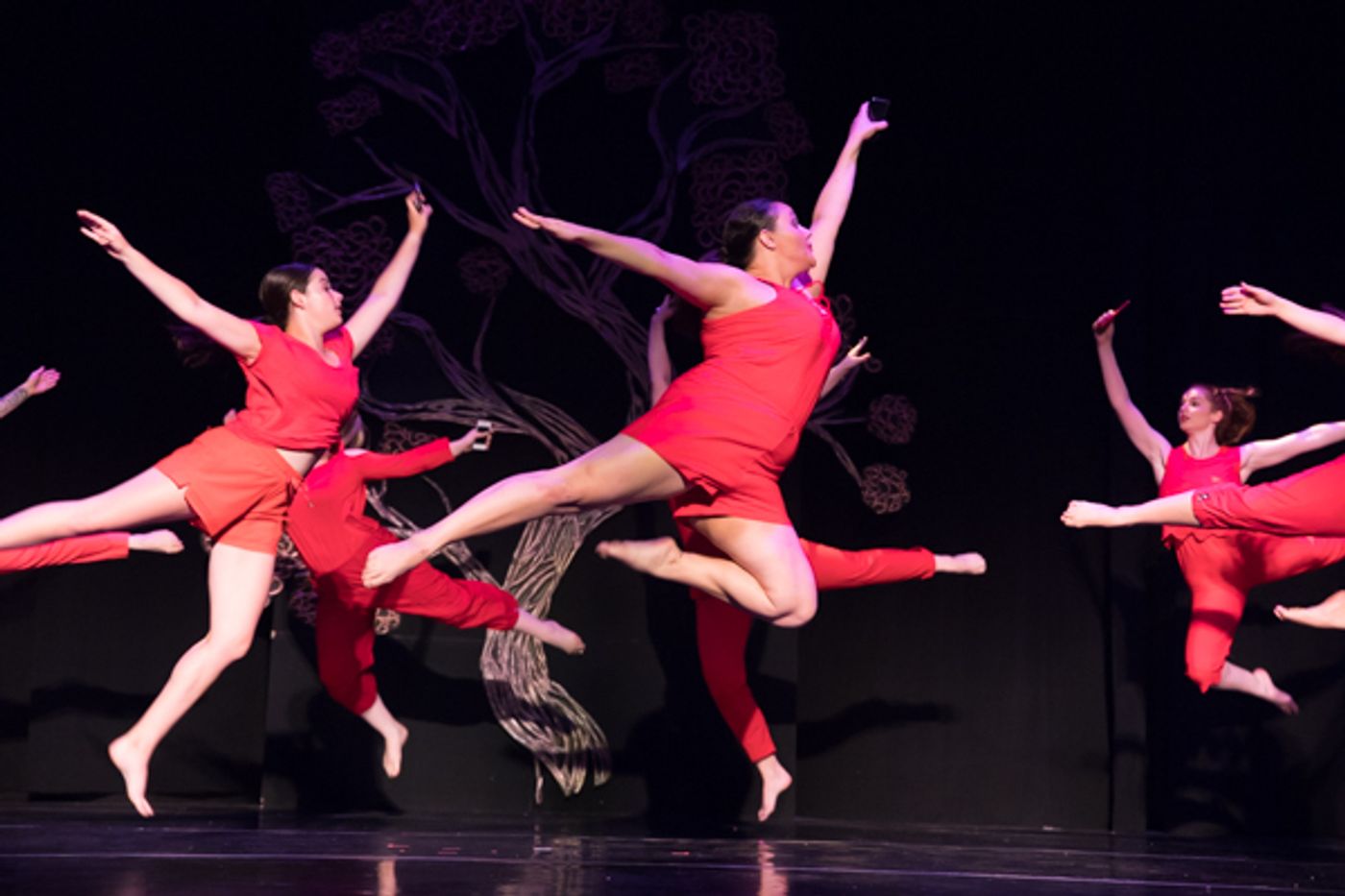 Photo Coverage: First look at New Vision Dance Co.'s BRANCHING OUT  Image