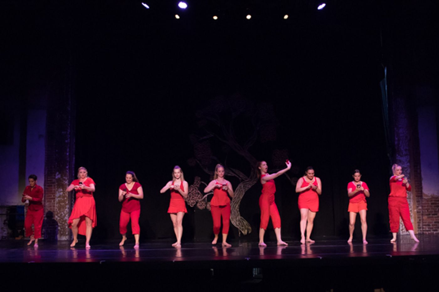 Photo Coverage: First look at New Vision Dance Co.'s BRANCHING OUT  Image