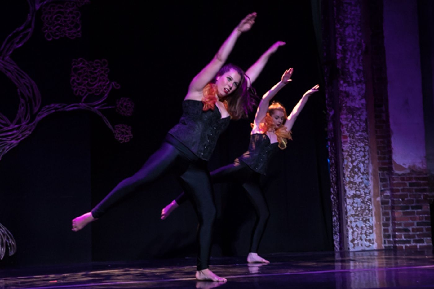 Photo Coverage: First look at New Vision Dance Co.'s BRANCHING OUT  Image