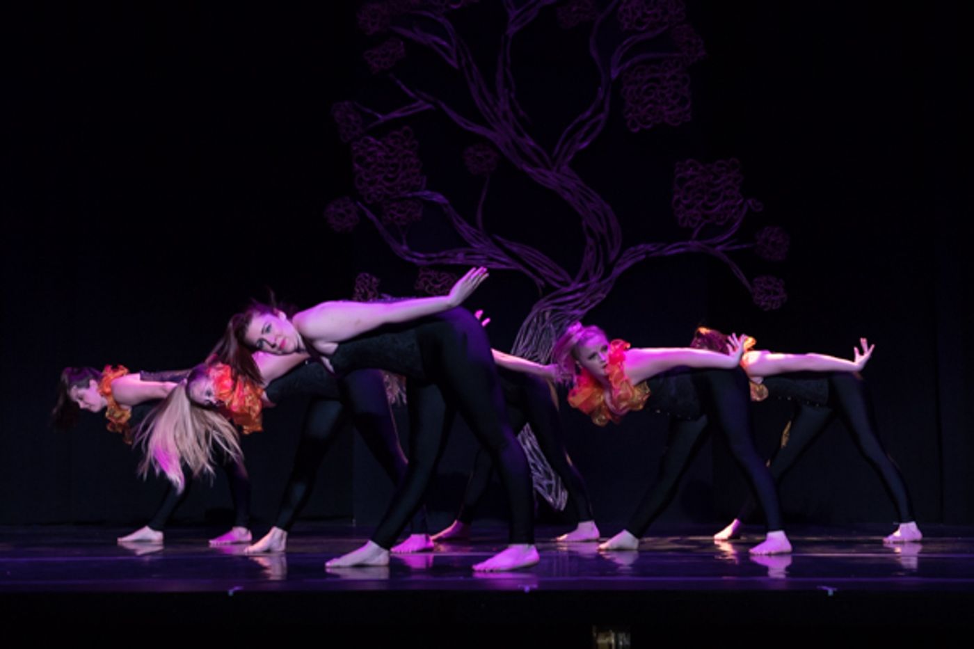 Photo Coverage: First look at New Vision Dance Co.'s BRANCHING OUT  Image