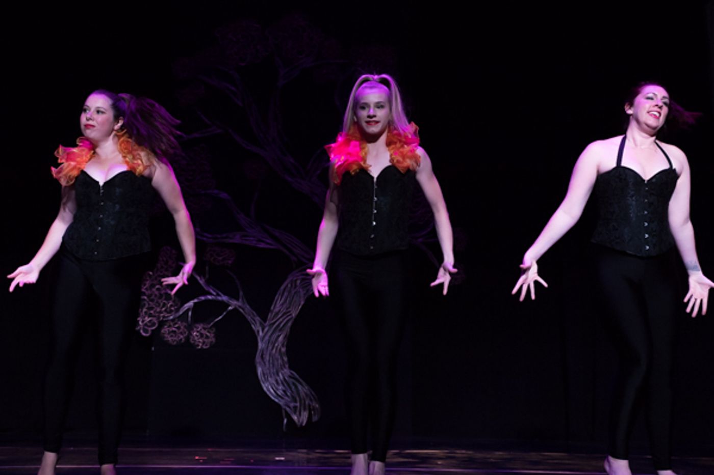 Photo Coverage: First look at New Vision Dance Co.'s BRANCHING OUT  Image