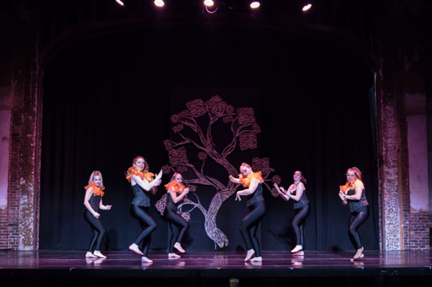 Photo Coverage: First look at New Vision Dance Co.'s BRANCHING OUT  Image