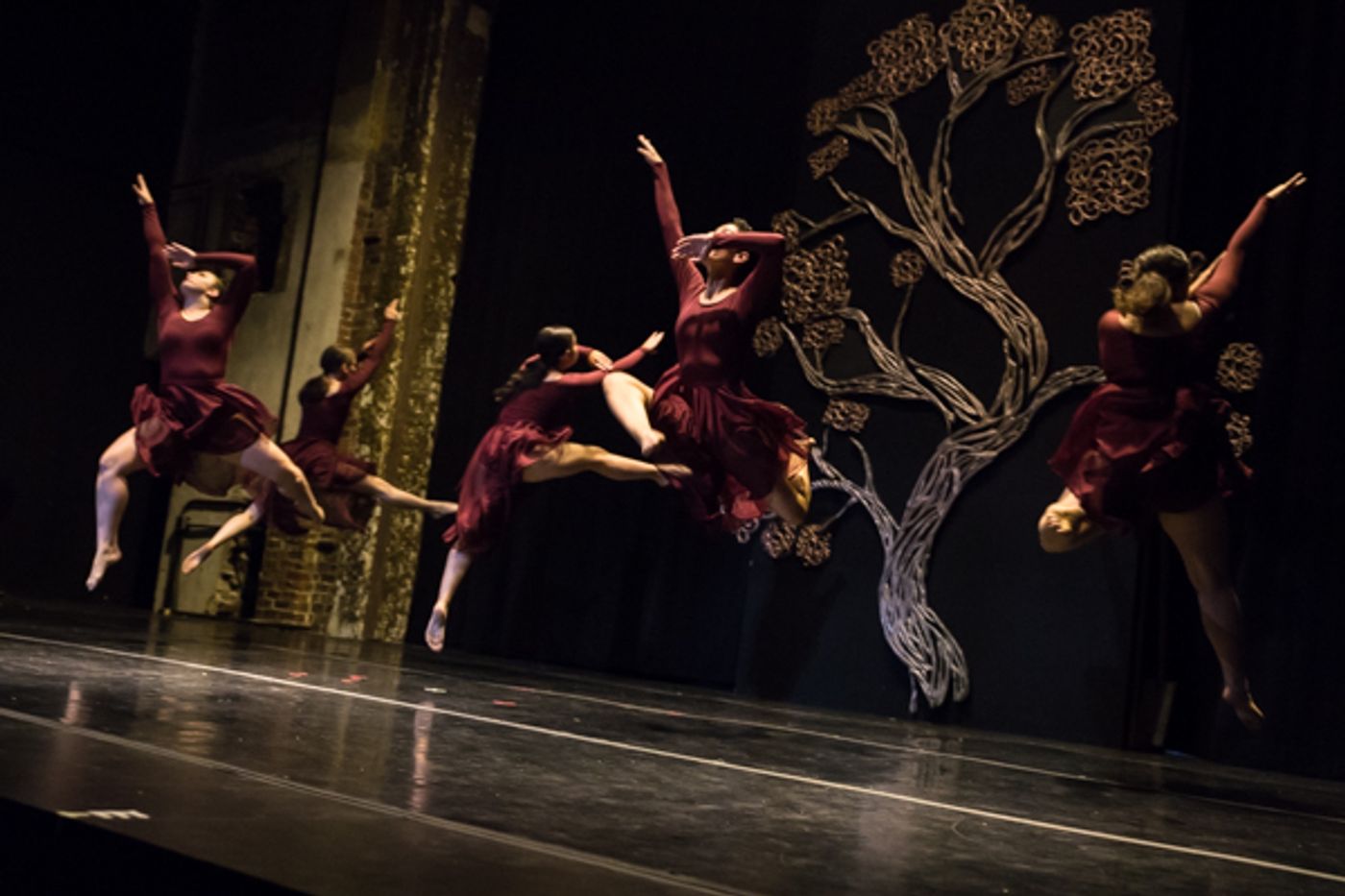 Photo Coverage: First look at New Vision Dance Co.'s BRANCHING OUT  Image