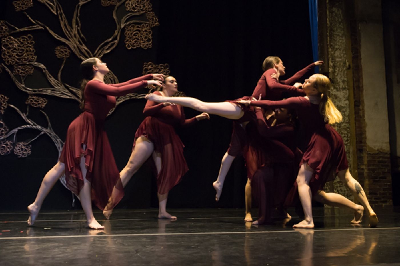 Photo Coverage: First look at New Vision Dance Co.'s BRANCHING OUT  Image