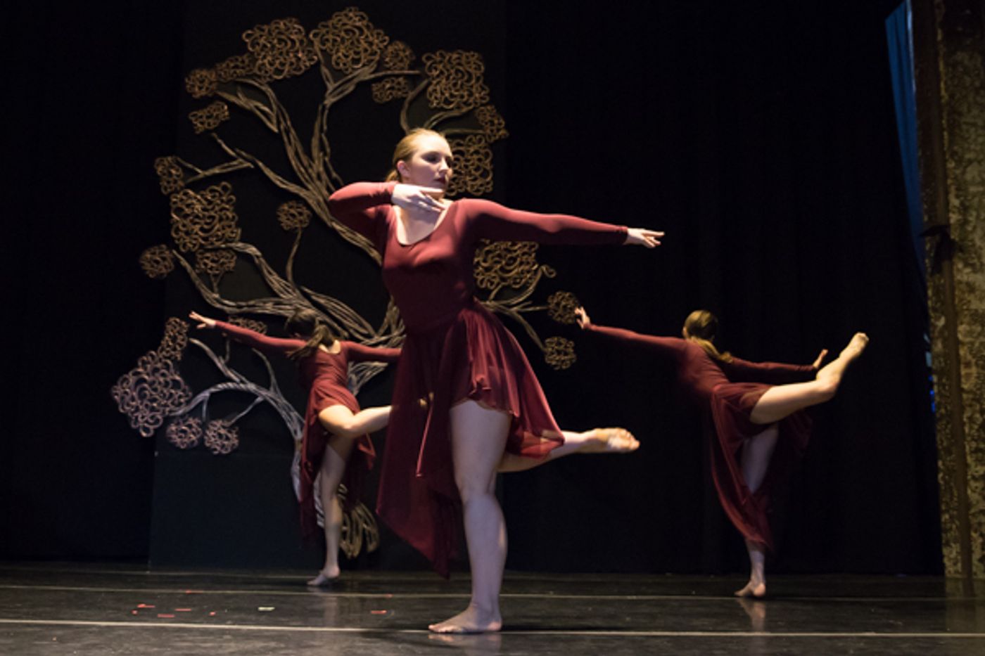 Photo Coverage: First look at New Vision Dance Co.'s BRANCHING OUT  Image