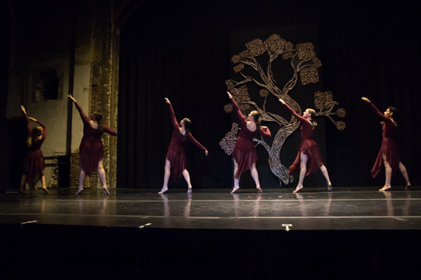 Photo Coverage: First look at New Vision Dance Co.'s BRANCHING OUT  Image