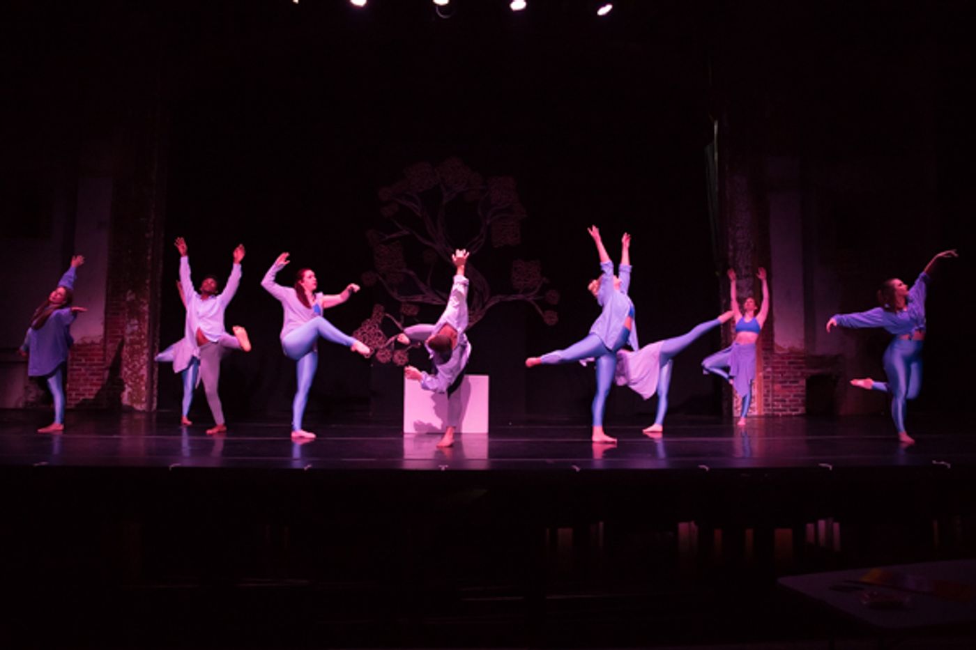 Photo Coverage: First look at New Vision Dance Co.'s BRANCHING OUT  Image