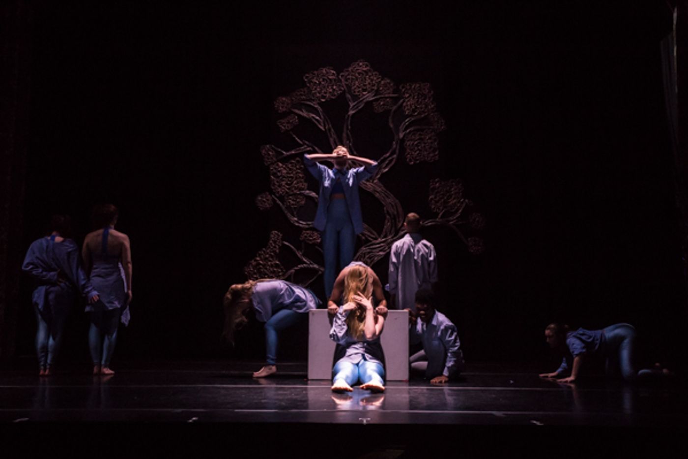 Photo Coverage: First look at New Vision Dance Co.'s BRANCHING OUT  Image