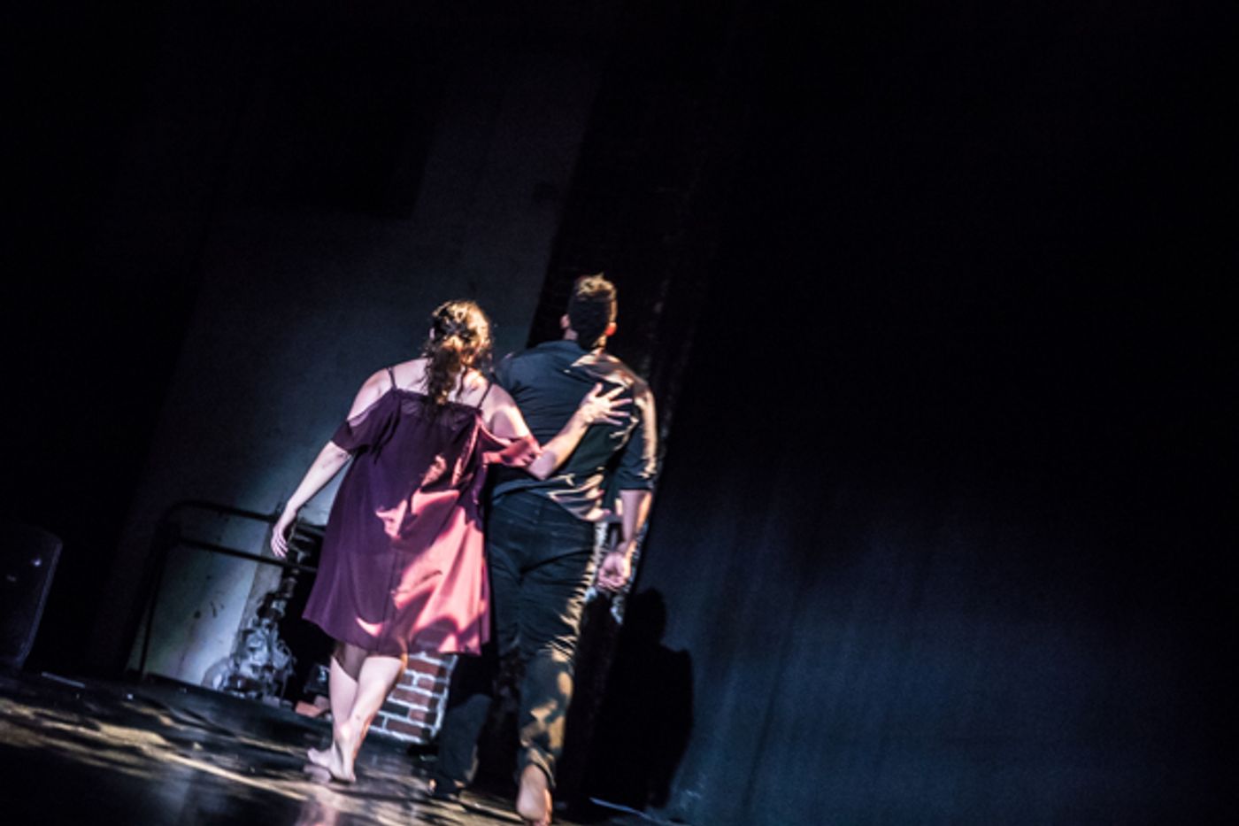 Photo Coverage: First look at New Vision Dance Co.'s BRANCHING OUT  Image