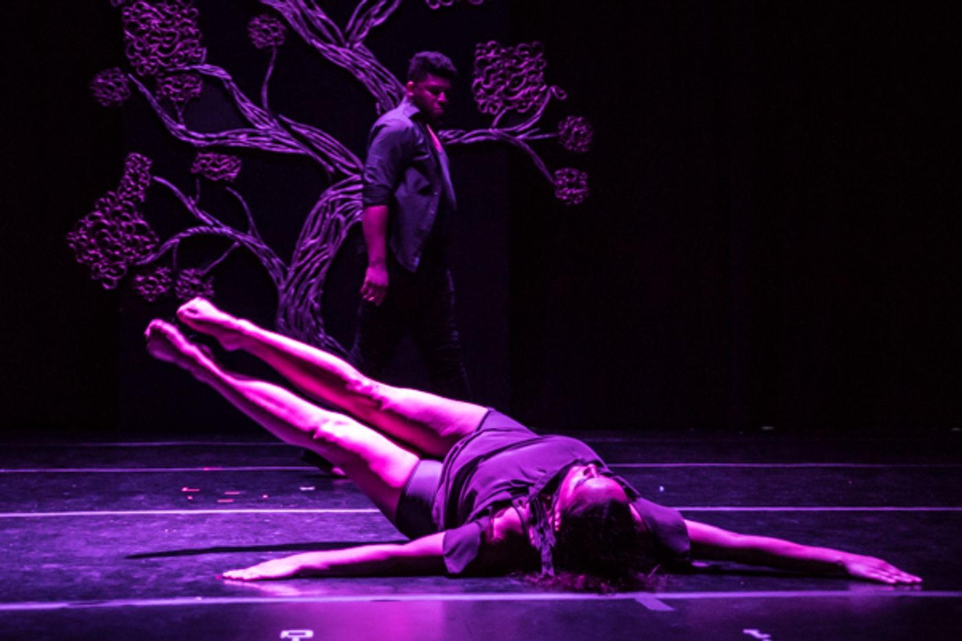 Photo Coverage: First look at New Vision Dance Co.'s BRANCHING OUT  Image
