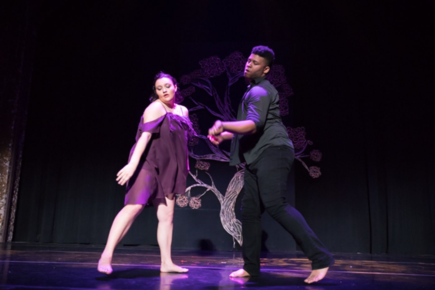 Photo Coverage: First look at New Vision Dance Co.'s BRANCHING OUT  Image