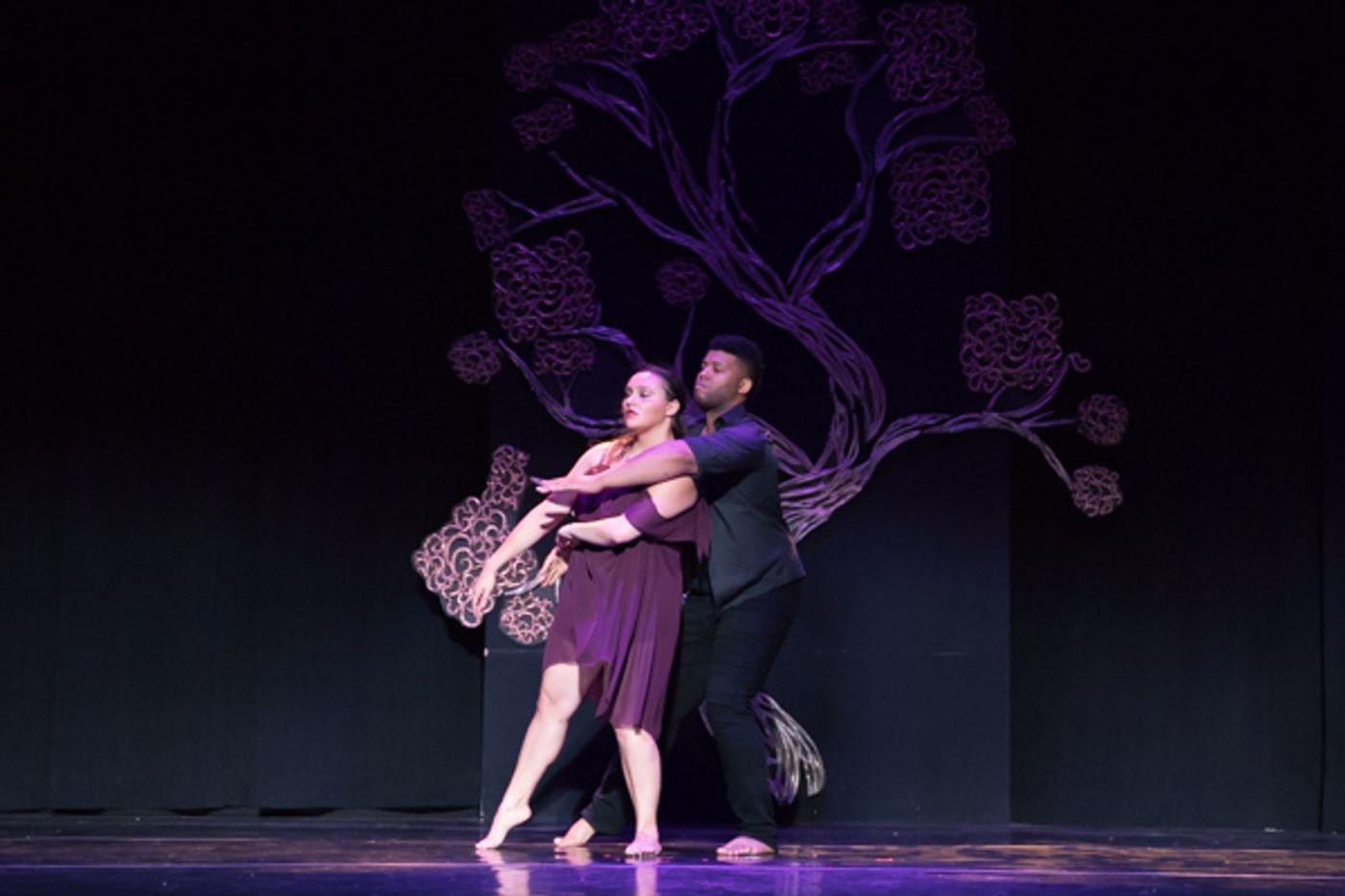 Photo Coverage: First look at New Vision Dance Co.'s BRANCHING OUT  Image