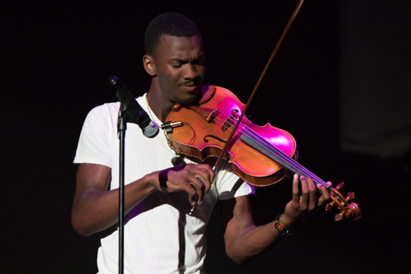 Photo Coverage: First look at New Vision Dance Co.'s BRANCHING OUT  Image