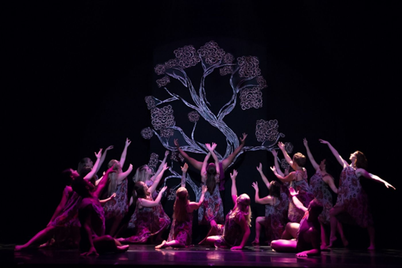 Photo Coverage: First look at New Vision Dance Co.'s BRANCHING OUT  Image