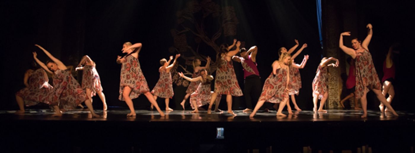 Photo Coverage: First look at New Vision Dance Co.'s BRANCHING OUT  Image
