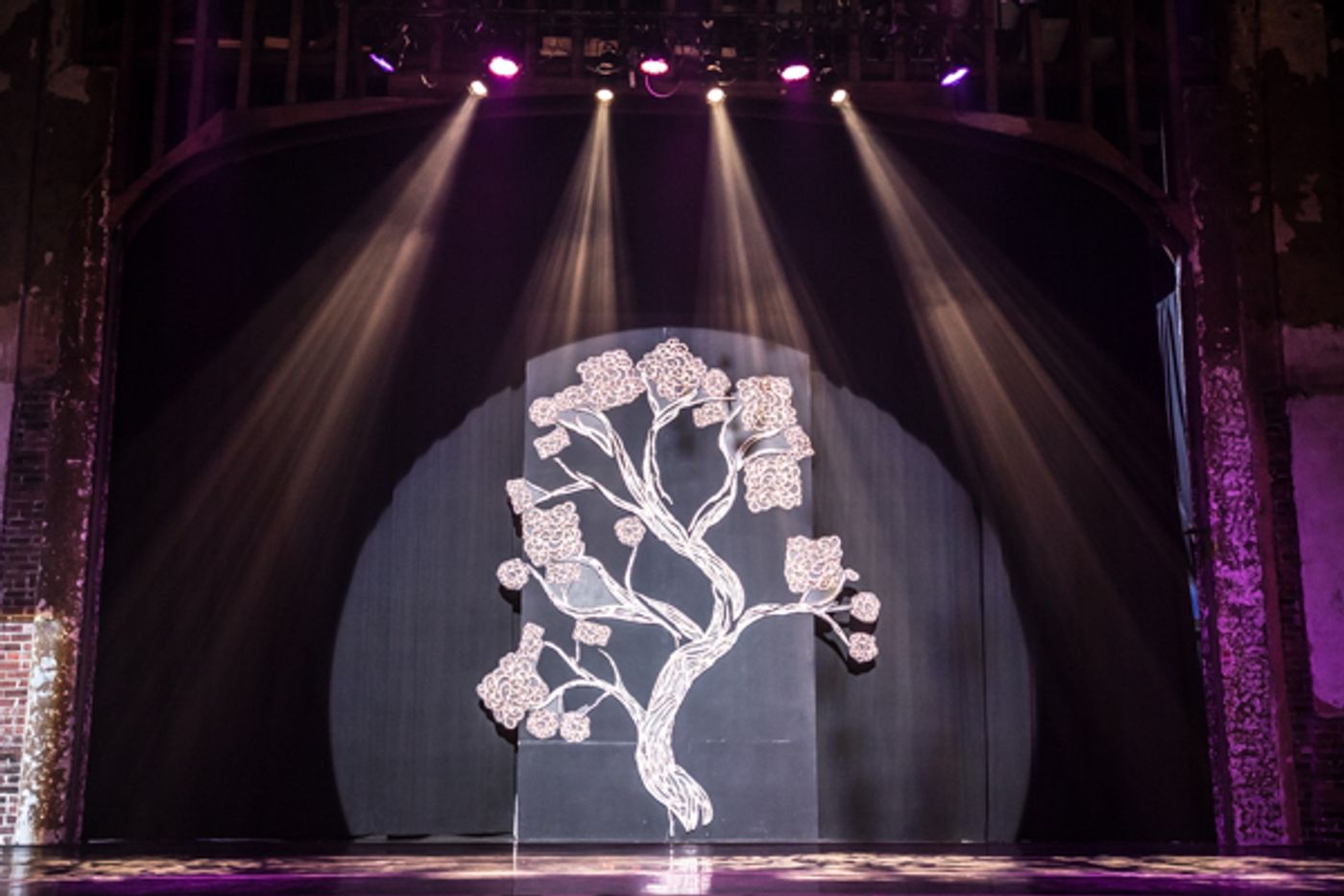 Photo Coverage: First look at New Vision Dance Co.'s BRANCHING OUT  Image