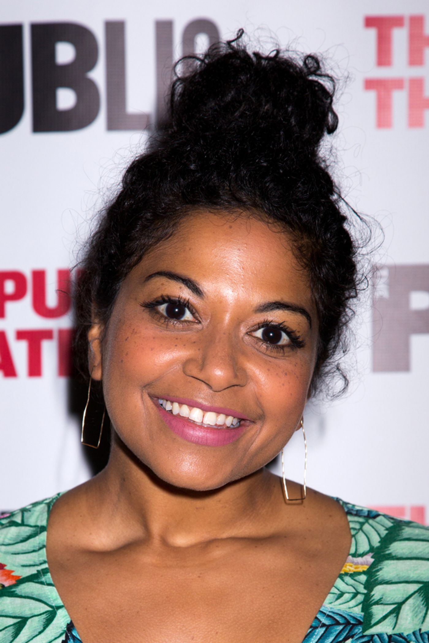 Photo Coverage: Public Theater Celebrates Opening Night of FIRE IN DREAMLAND  Image