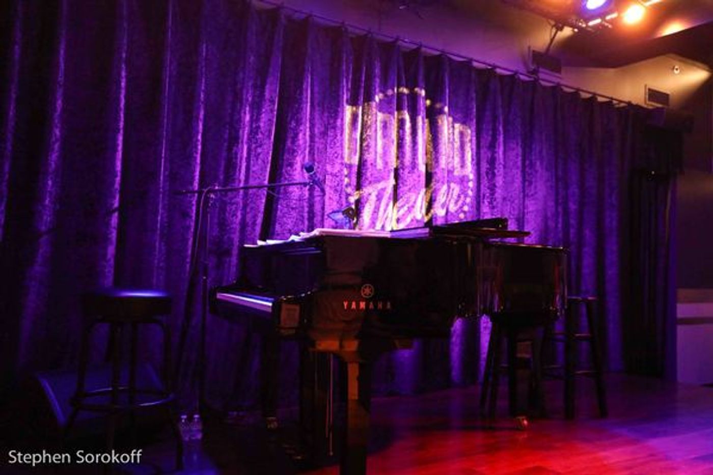 Photo Coverage: Inside Opening Night at the Birdland Theater  Image