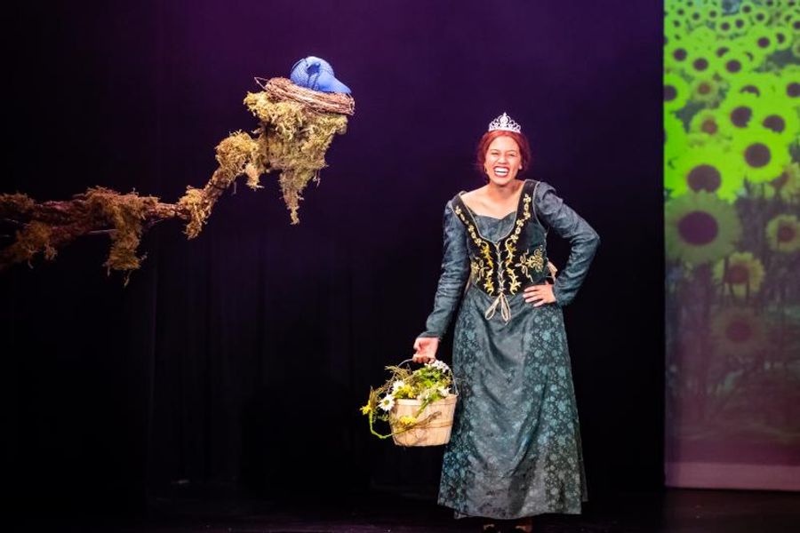 BWW Teacher's Perspective: Drama Mama Image